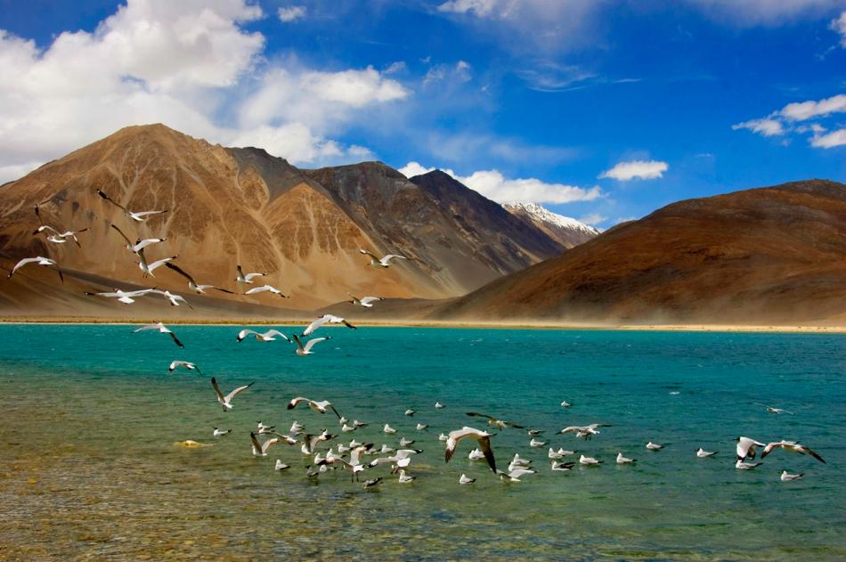 The Top 5 leh ladakh Must-See Tourist Attractions on Your Next Tour - Crazy Riders